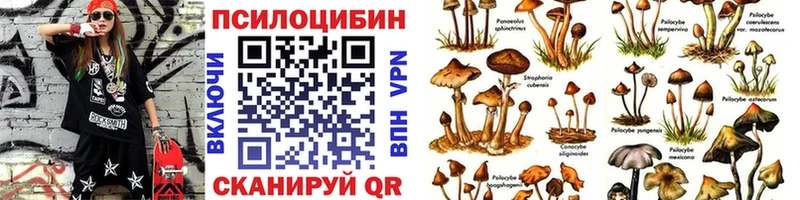 Галлюциногенные грибы прущие грибы как найти Высоцк